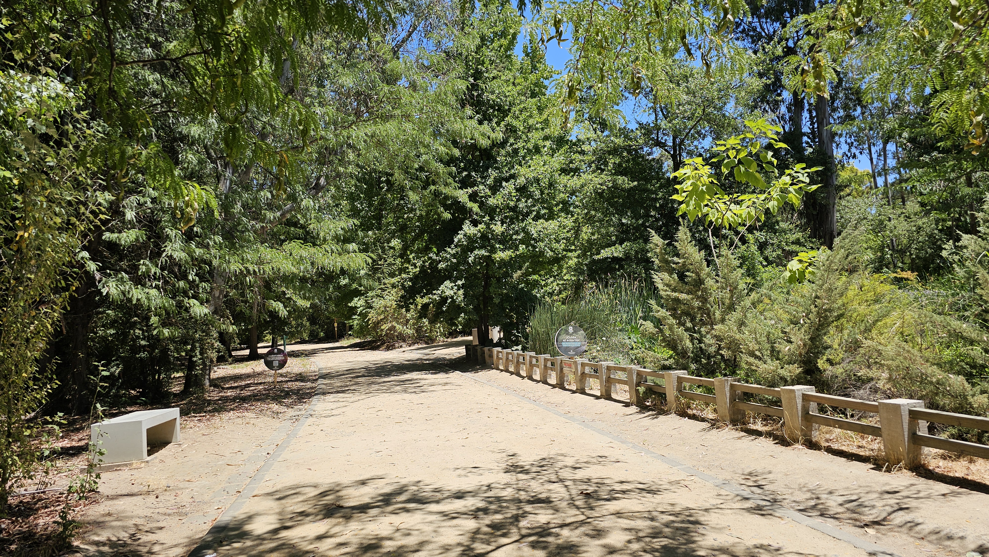 Fotografía del sendero cercano a la vegetación del parque